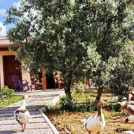 Lux In Nature Ekolia Бодрум