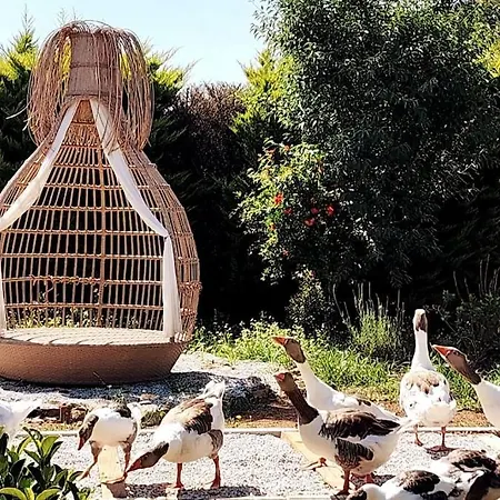 Lux In Nature Ekolia Вилла Бодрум