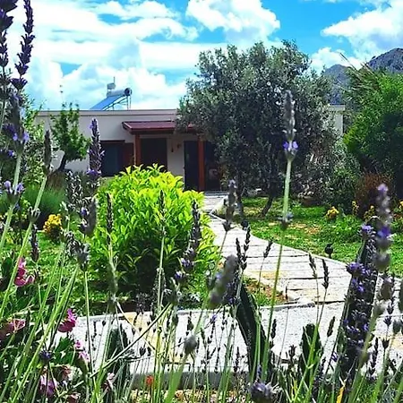 Lux In Nature Ekolia *