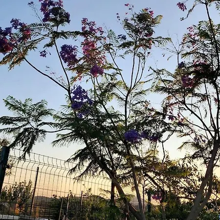 Lux In Nature Ekolia *