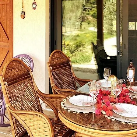 Lux In Nature Ekolia