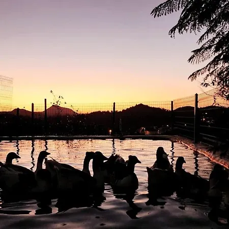 Lux In Nature Ekolia