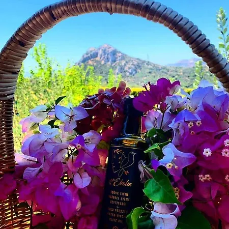 Lux In Nature Ekolia Bodrum